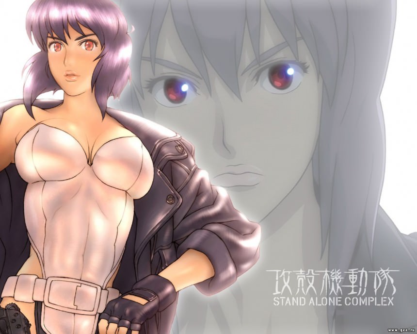  ,     ,   , ghost in the shell, Stand alone complex